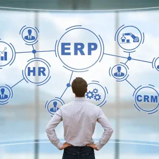 Enterprise resource planning visualization